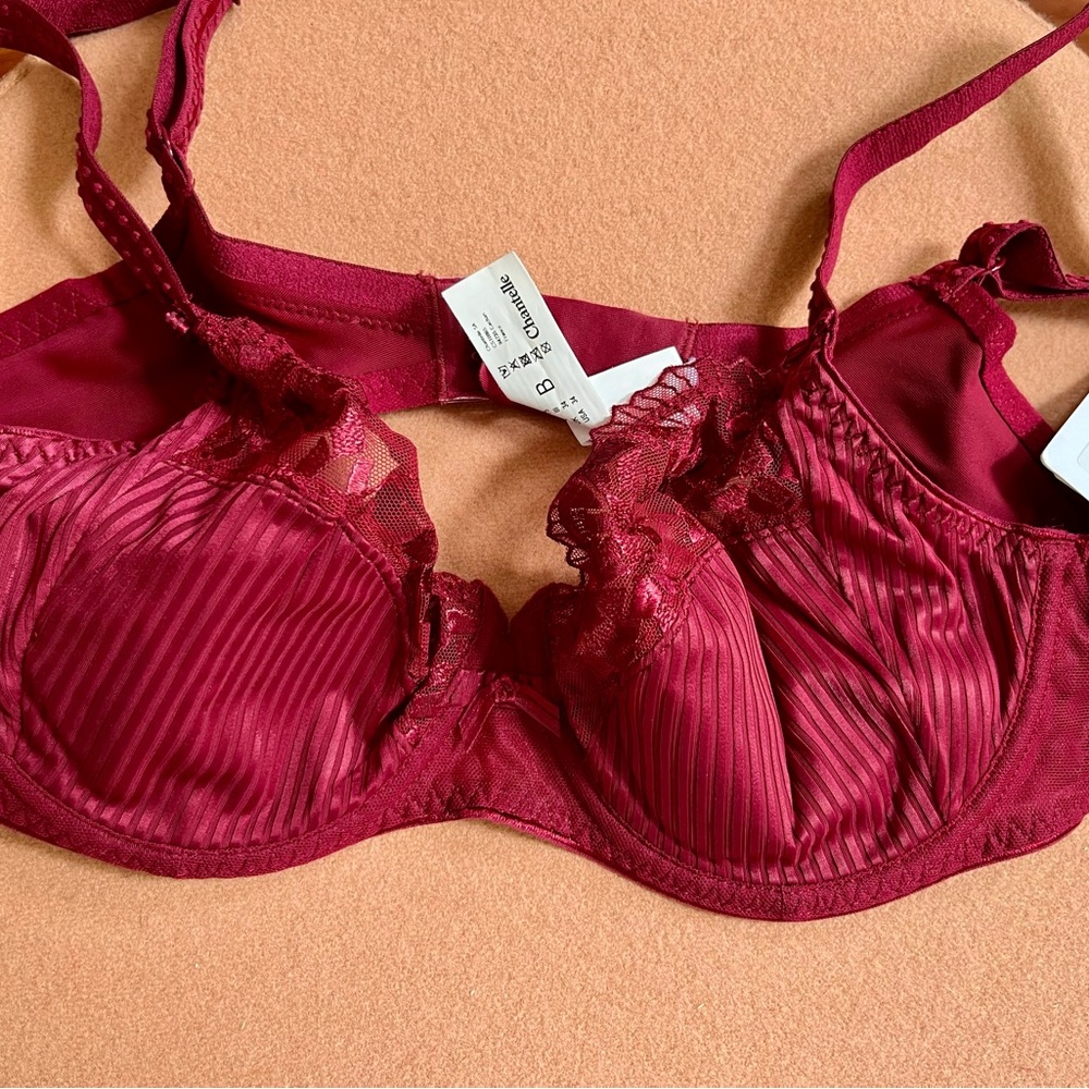 NWT Chantelle Pont Neuf Bra 34B